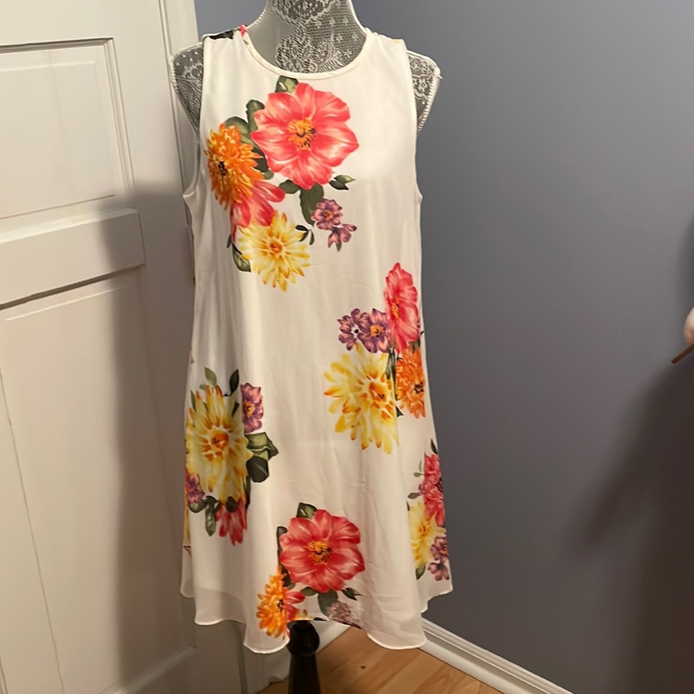 Ladies Dress